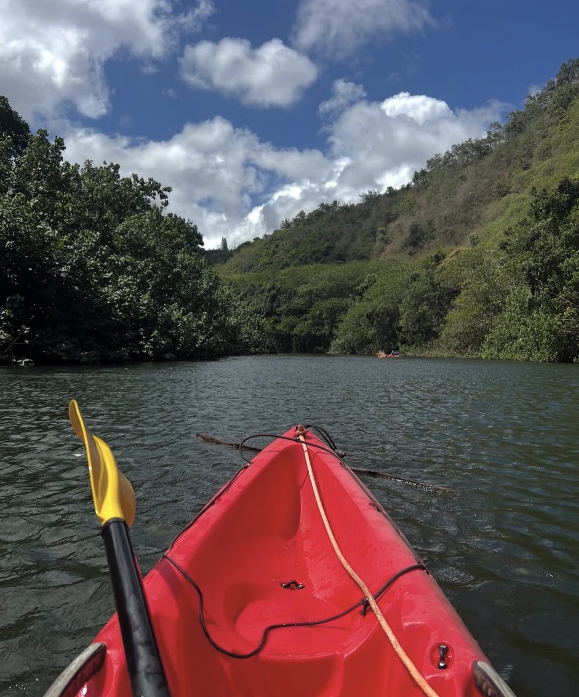 Day Trip from Oahu to Kauai: Waimea Canyon & Wailua River